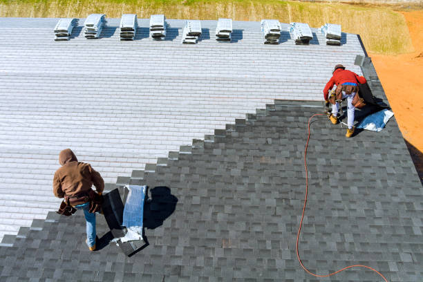 Best Metal Roofing Installation  in Carey, OH